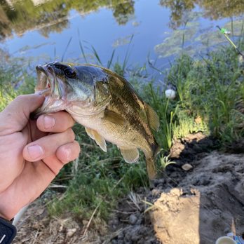 All Seasons RV Park - Fishing Near Me - Escondido, California All Seasons RV Park - Fishing Near Me - Escondido, California