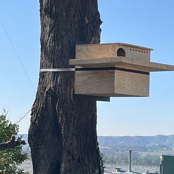 Castros Tree Services - Tree Services Near Me Castros Tree Services - Tree Services Near Me