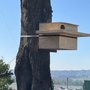 Castros Tree Services