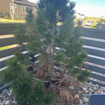 Taylor Brothers Landscape - Landscaping Near Me - Parker, Colorado Taylor Brothers Landscape - Landscaping Near Me - Parker, Colorado