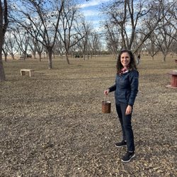 Ramirez Pecan Farms - Pecan picking festival