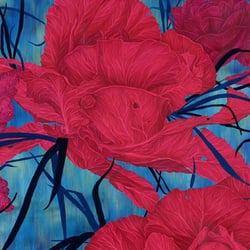 Brassica