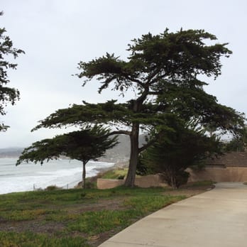 Ebb Tide Park - Zen tree - Parks Near Me - Pismo Beach, California