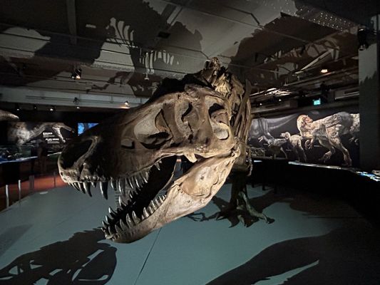 Montreal Science Centre by null