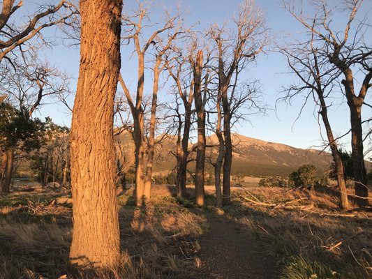 Zapata Ranch by null
