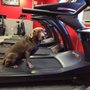 Photo of Iron Mike's Gym