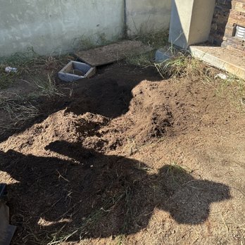 Tzuban Tree Services - Proof of stump removal - Tree Services Near Me