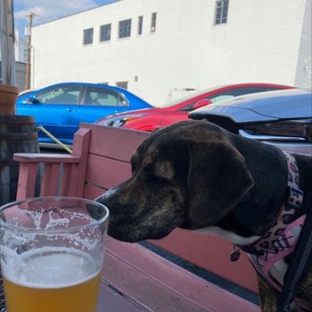 Oak & Apple - Zoe loves Apple and Oak Beer - Cideries Near Me - Richmond, Virginia Oak & Apple - Zoe loves Apple and Oak Beer - Cideries Near Me - Richmond, Virginia
