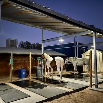 Mountain View Ranch - Joshua Tree - Wash Rack and Tacking Station for the Horses. - Horse Boarding Near Me - Joshua Tree, California Mountain View Ranch - Joshua Tree - Wash Rack and Tacking Station for the Horses. - Horse Boarding Near Me - Joshua Tree, California