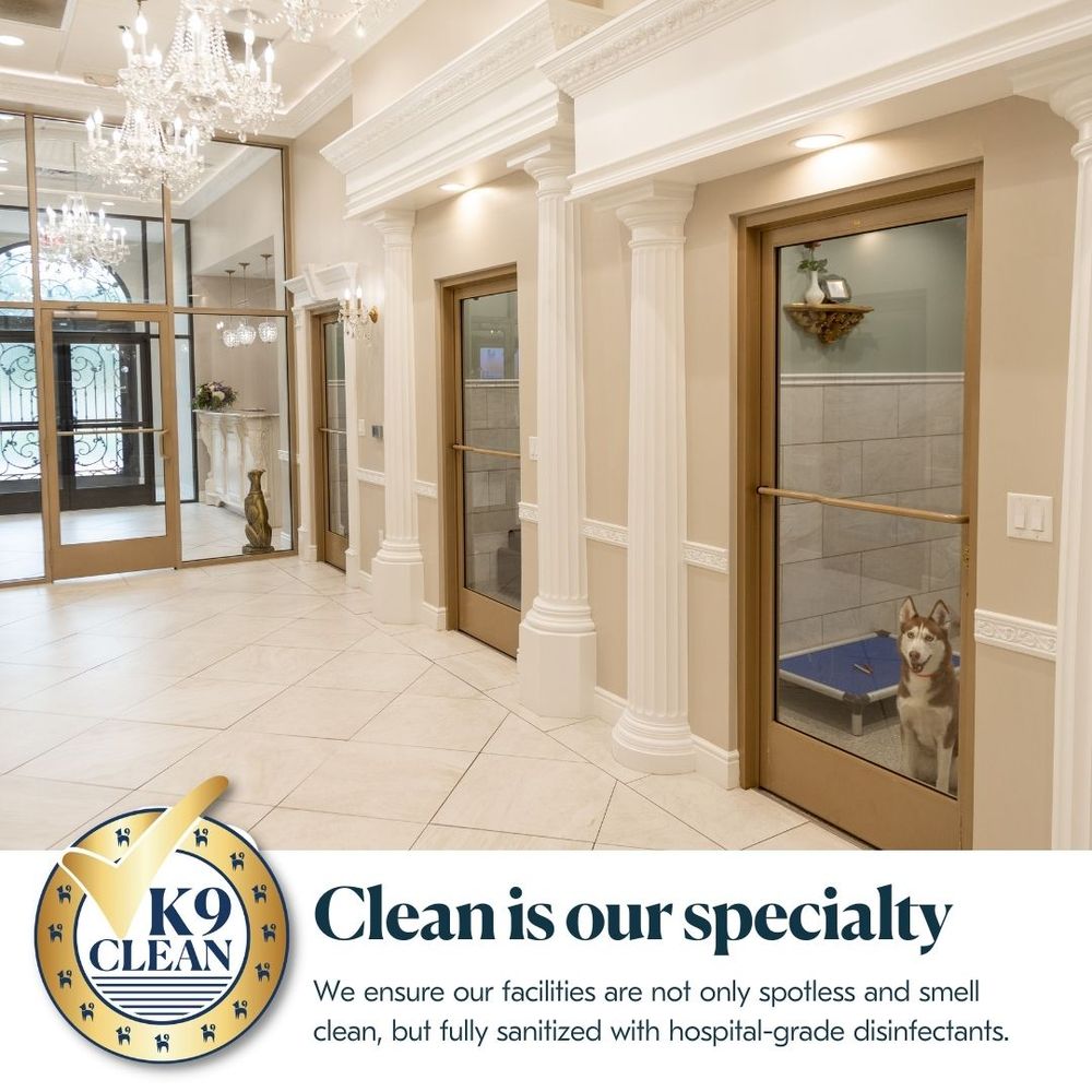 K9 Resorts Luxury Pet Hotel - pet boarding facility in Oviedo, FL