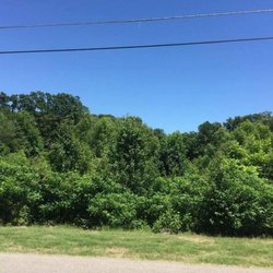 Addison Tree Care