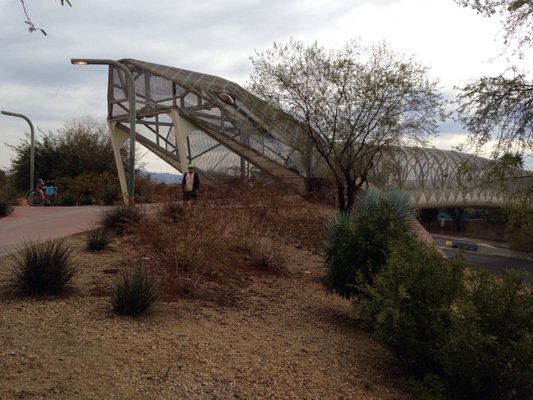 Tucson Bike Tours by null