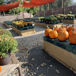 Concord Market