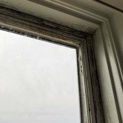 Jeld-Wen - Window