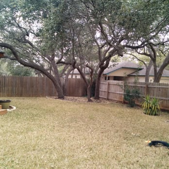 Spring Valley Tree Service & Lawn Care - the back yard - Tree Services Near Me Spring Valley Tree Service & Lawn Care - the back yard - Tree Services Near Me