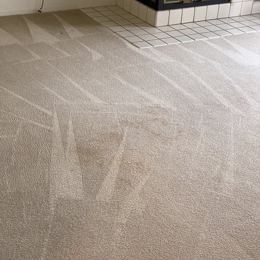 Oscar's Carpet Cleaning - AFTER - Carpet Cleaning Near Me Oscar's Carpet Cleaning - AFTER - Carpet Cleaning Near Me