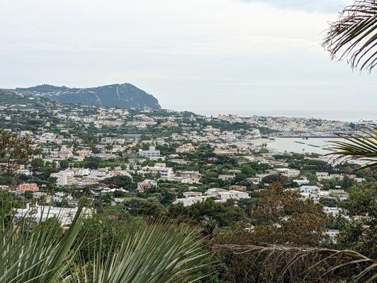 Giardini la Mortella by null