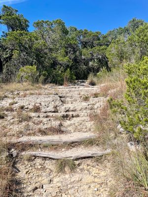 Wild Basin Wilderness Preserve by null