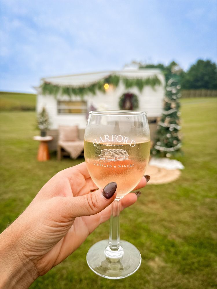 Harford Vineyard & Winery - vineyard in Forest Hill, MD