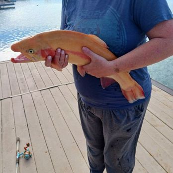 Silver Lakes in Helendale - Too ugly to eat but I caught it lol - Fishing Near Me - Helendale, California Silver Lakes in Helendale - Too ugly to eat but I caught it lol - Fishing Near Me - Helendale, California
