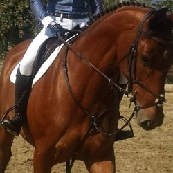 Stone Pine Stables