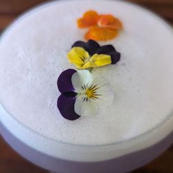 Homesick - Tutu drink With edible flowers.
