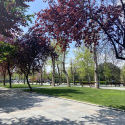 Taksim Gezi Parkı