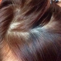 Paul Mitchell The School Knoxville - Spotty ):