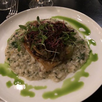 Willow at Mirbeau - Cod - American Near Me - Rhinebeck, New York Willow at Mirbeau - Cod - American Near Me - Rhinebeck, New York