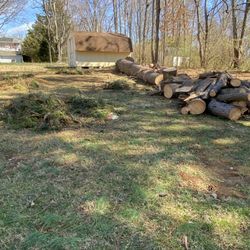 Big Mike's Outdoor Services - wood not stacked just left got his mony never came back
