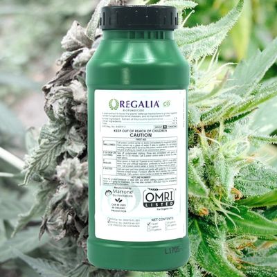 Capital City Organics by null