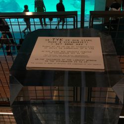 Nordsøen Oceanarium - So dich ist das Glas des Ozeaniums