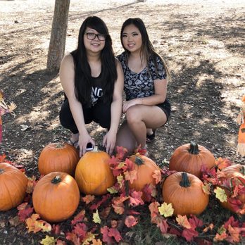 Red Hill Community Park - set up our own mini pumpkin patch :) - Parks Near Me - Rancho Cucamonga, California Red Hill Community Park - set up our own mini pumpkin patch :) - Parks Near Me - Rancho Cucamonga, California
