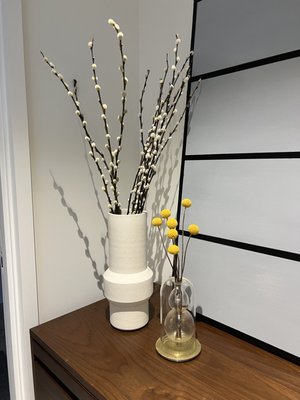 Trader Joe's by null