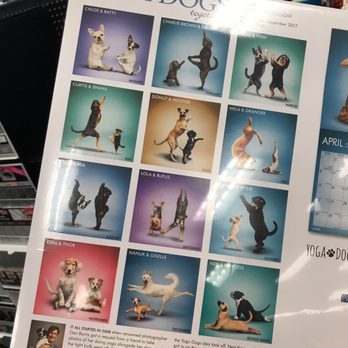 CVS Pharmacy - Yoga Dogs! - Drugstores Near Me - Shelby Township, Michigan CVS Pharmacy - Yoga Dogs! - Drugstores Near Me - Shelby Township, Michigan