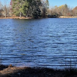 Pine Lake Adventure Park - End up the lake on the trail.