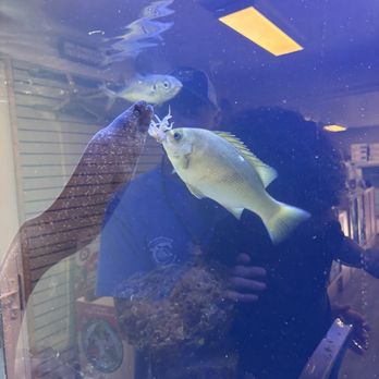Oceanside Sea Center - Fishing Near Me - Oceanside, California Oceanside Sea Center - Fishing Near Me - Oceanside, California