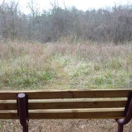 Peaceful area for bird watching at Evergreen Nature Preserve. Peaceful area for bird watching at Evergreen Nature Preserve.