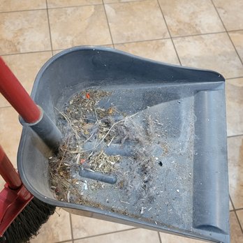 Molly Duster Maids - The dirt from the supposed swept and mopped floors. - Home Cleaning Near Me - Dallas, Texas Molly Duster Maids - The dirt from the supposed swept and mopped floors. - Home Cleaning Near Me - Dallas, Texas
