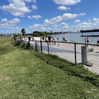 Davis Island Dog Beach - Lots of doggos - Dog Parks Near Me - Tampa, Florida Davis Island Dog Beach - Lots of doggos - Dog Parks Near Me - Tampa, Florida