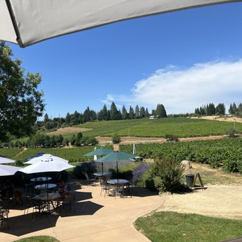 Lava Cap Winery - Wineries Near Me - Placerville, California Lava Cap Winery - Wineries Near Me - Placerville, California