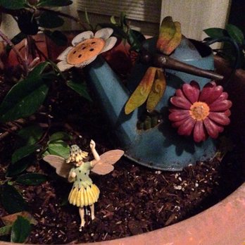 Tom's Thumb by Cornelius Nursery - Garden love - Nurseries & Gardening Near Me - Galveston, Texas Tom's Thumb by Cornelius Nursery - Garden love - Nurseries & Gardening Near Me - Galveston, Texas