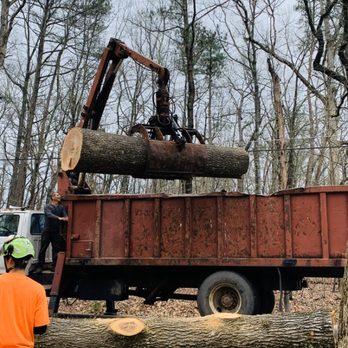 Cardinal Points Tree Specialist - Tree Services Near Me Cardinal Points Tree Specialist - Tree Services Near Me