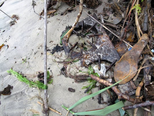 Dead Horse Bay by null