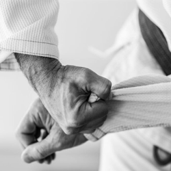 Level Up Brazilian Jiu Jitsu
