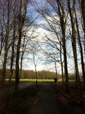 Het Amsterdamse Bos by null