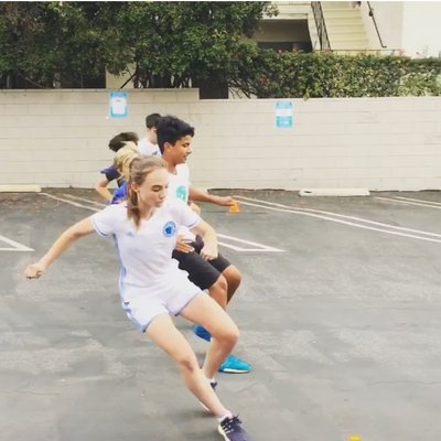 Elevate Physical Therapy & Fitness by null