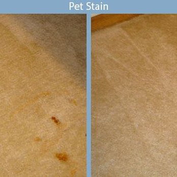 Advanced Carpet Restoration - Pet Stain - Carpet Cleaning Near Me - Minneapolis, Minnesota Advanced Carpet Restoration - Pet Stain - Carpet Cleaning Near Me - Minneapolis, Minnesota