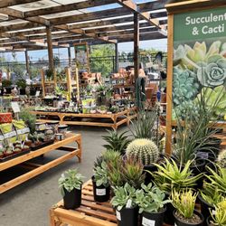 Sloat Garden Center