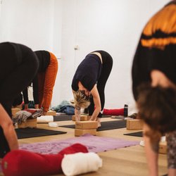 Yogalife Yoga Studio